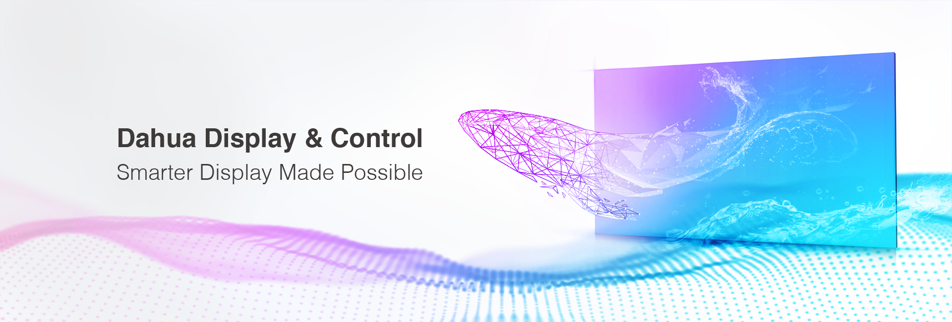 Dahua-Display--Control